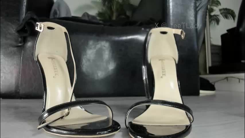 ms_enigma Cam Model Chat October 29, 2025