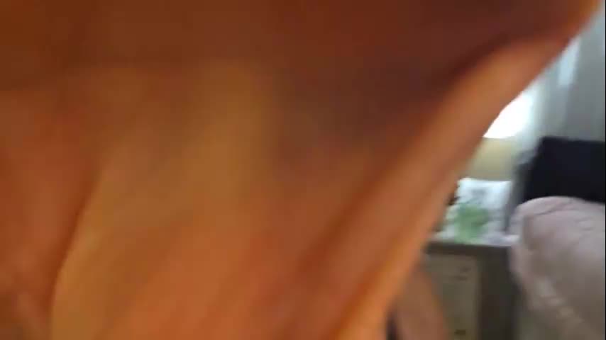 yogimilflover Cam Model Chat October 29, 2025