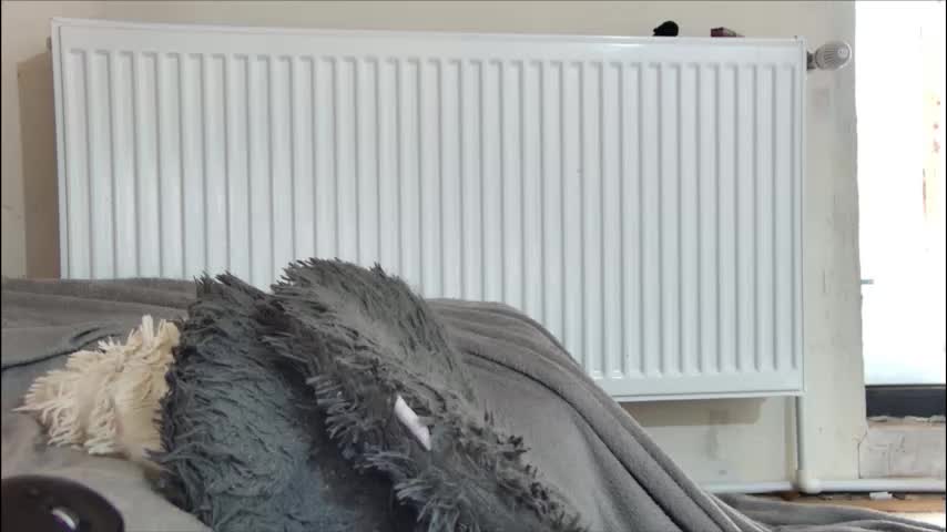 anaworld69 Cam Model Chat October 29, 2025