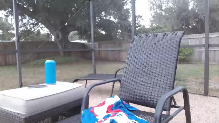 dazeydo Cam Model Chat October 29, 2025