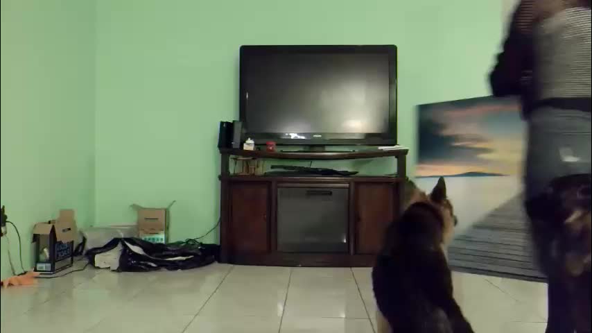 yoursecretgirlfriend963 Cam Model Chat October 29, 2025