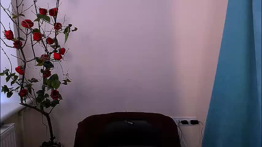 bunnybloom_ Cam Model Chat October 30, 2025