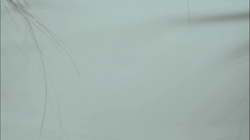 whisper_of_love Cam Model Chat October 30, 2025