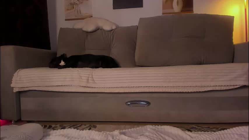 afanasia Cam Model Chat October 30, 2025