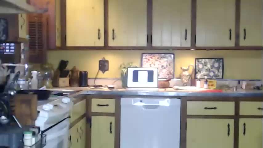 catalystic Cam Model Chat October 30, 2025