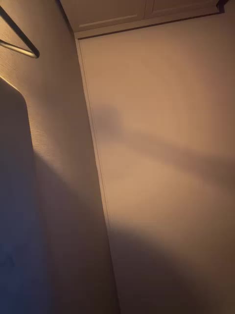 Rinaaamur Cam Model Chat October 30, 2025