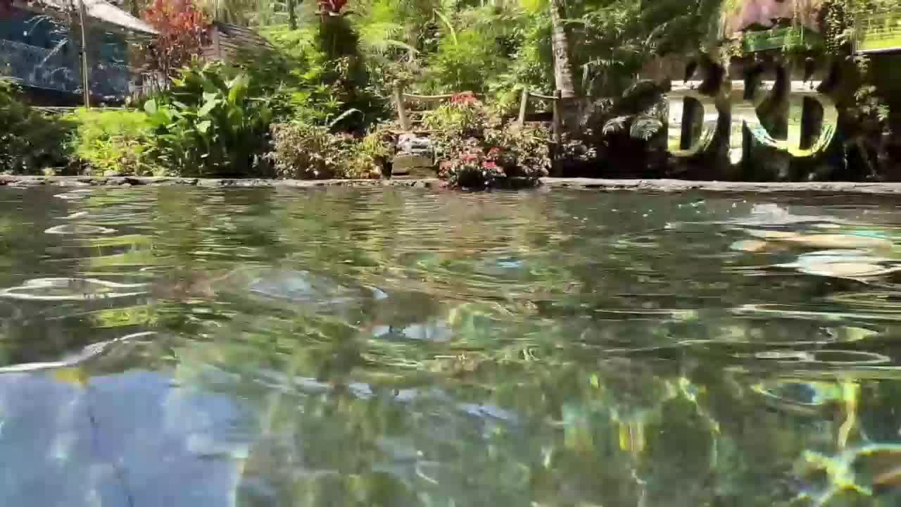 Ne_Sonia Cam Model Chat October 30, 2025