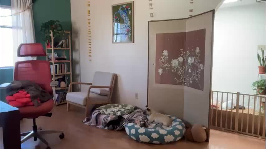 channel022 Cam Model Chat October 30, 2025