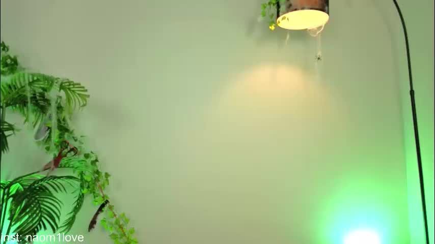 naomigirl33 Cam Model Chat October 30, 2025