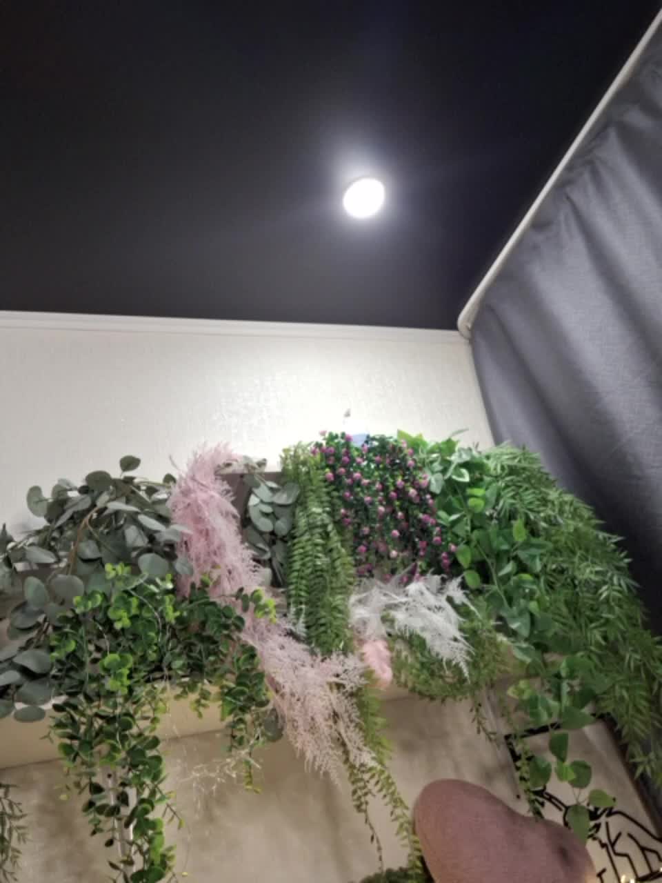 -scyrim- Cam Model Chat October 30, 2025