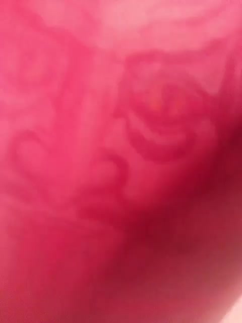 RedFox9595 Cam Model Chat October 30, 2025