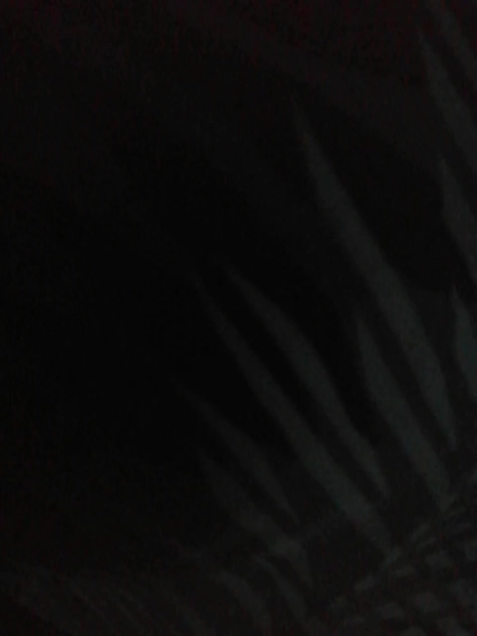 TISE Cam Model Chat October 30, 2025