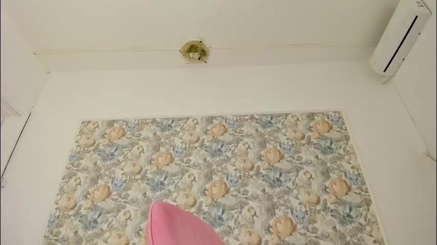 illegal_lorry Cam Model Chat October 30, 2025