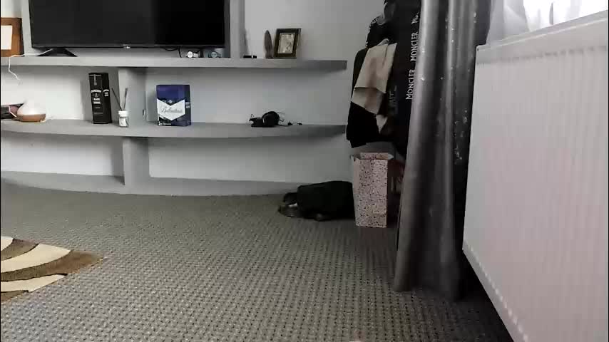 crazybrenda89 Cam Model Chat October 30, 2025