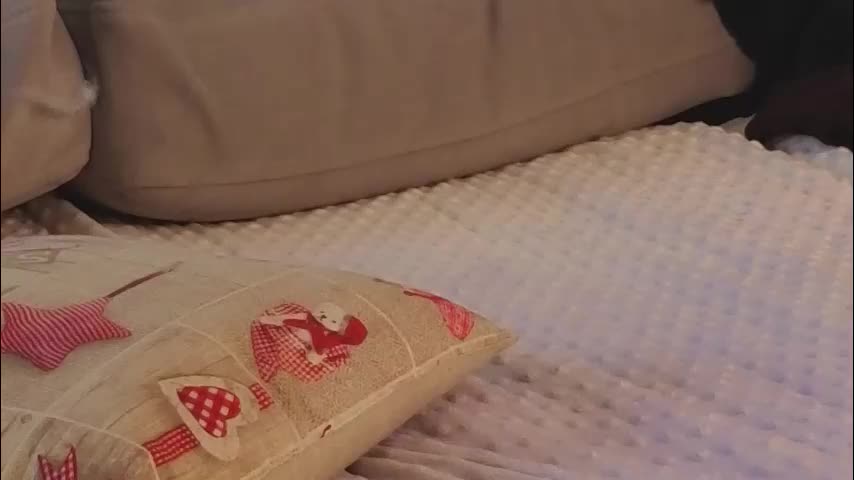 jolyndeb Cam Model Chat October 30, 2025