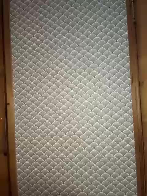 _baby_li Cam Model Chat October 31, 2025