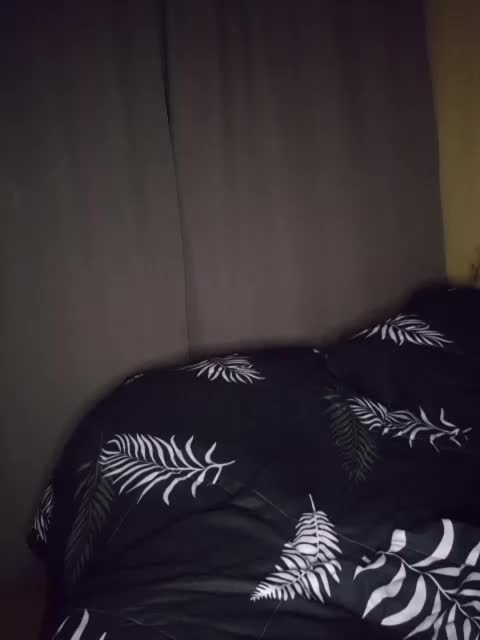 BielkA-4 Cam Model Chat October 31, 2025