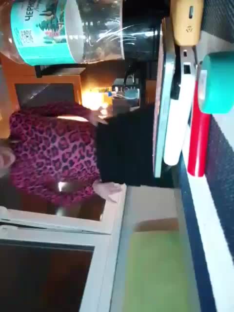 TilyTily Cam Model Chat October 31, 2025