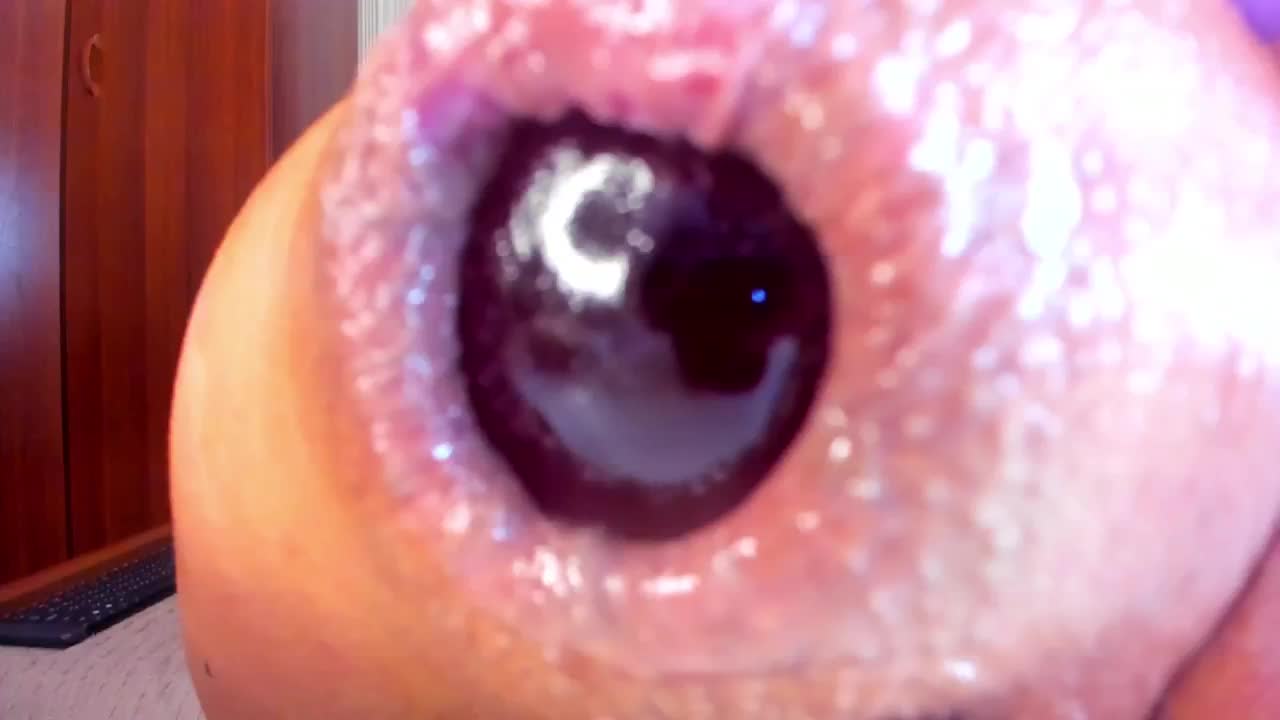 NikkaHotX Cam Model Chat October 31, 2025