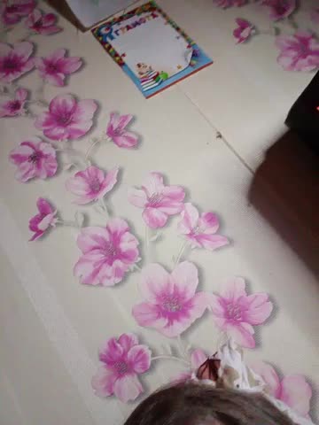 Olivia5551 Cam Model Chat October 31, 2025