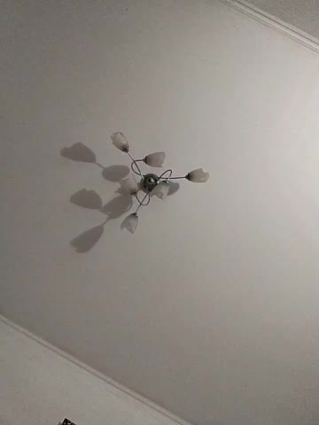 MonicaMilf Cam Model Chat November 1, 2025