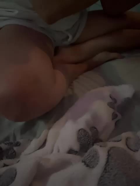 ParraTigroff Cam Model Chat November 1, 2025