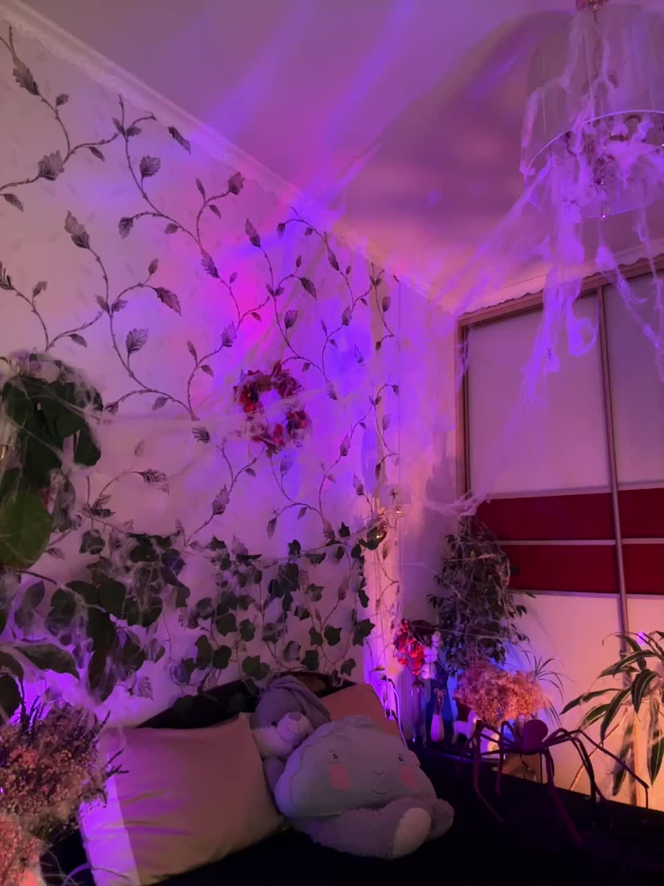 WednesdayFridayAddams Cam Model Chat November 1, 2025