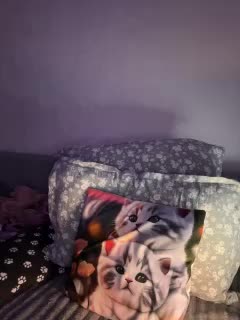 Kate_kotuk Cam Model Chat November 1, 2025