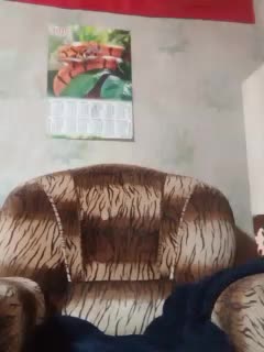 Calibriya Cam Model Chat November 1, 2025