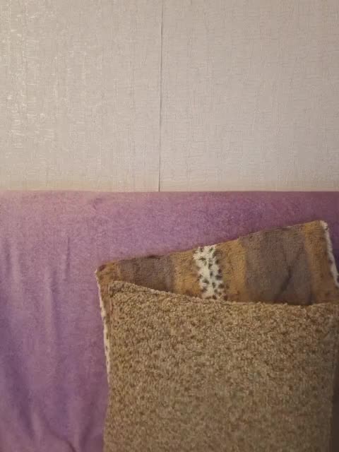 HaisonEris1 Cam Model Chat November 1, 2025