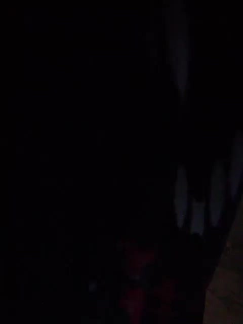 Juli-huston Cam Model Chat November 2, 2025