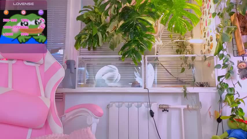 jelya_sg Cam Model Chat November 2, 2025