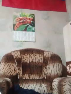 Calibriya Cam Model Chat November 3, 2025