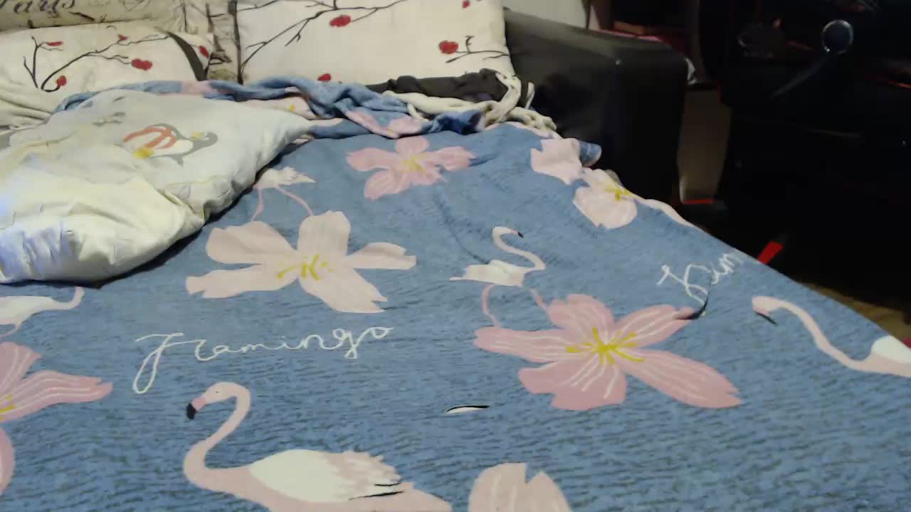 GospohaXXX Cam Model Chat November 3, 2025