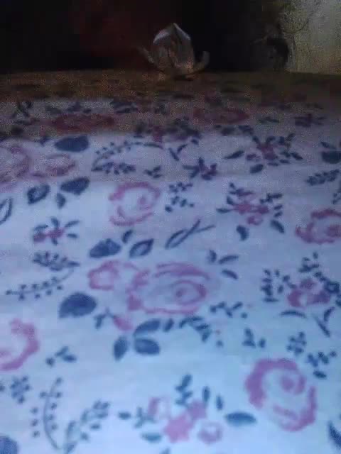 EmpressLady Cam Model Chat November 3, 2025