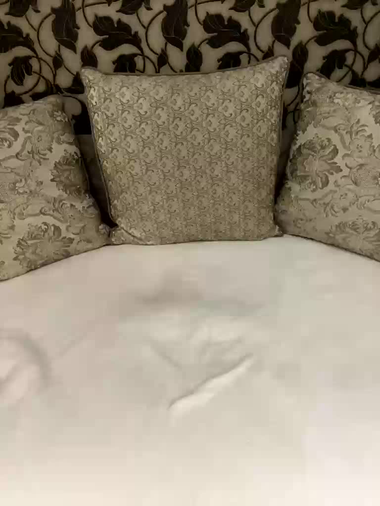 Raduga-25 Cam Model Chat November 3, 2025