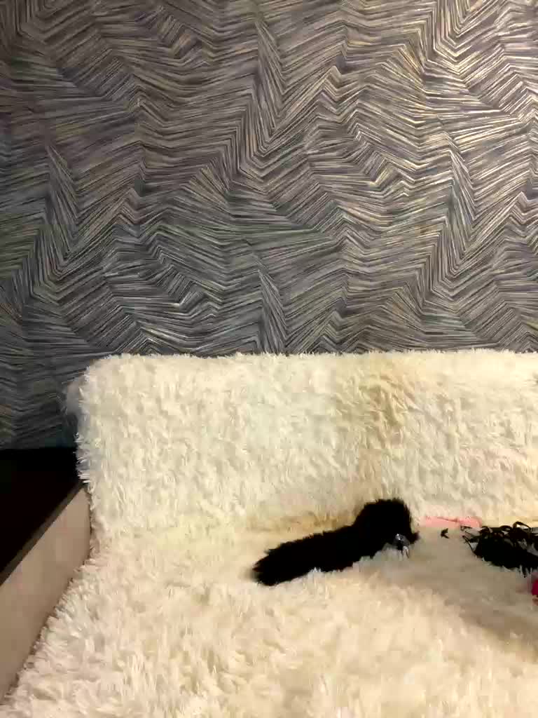 Malishka007 Cam Model Chat November 3, 2025