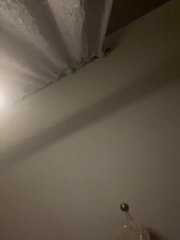 _Molly-Mae_ Cam Model Chat November 3, 2025