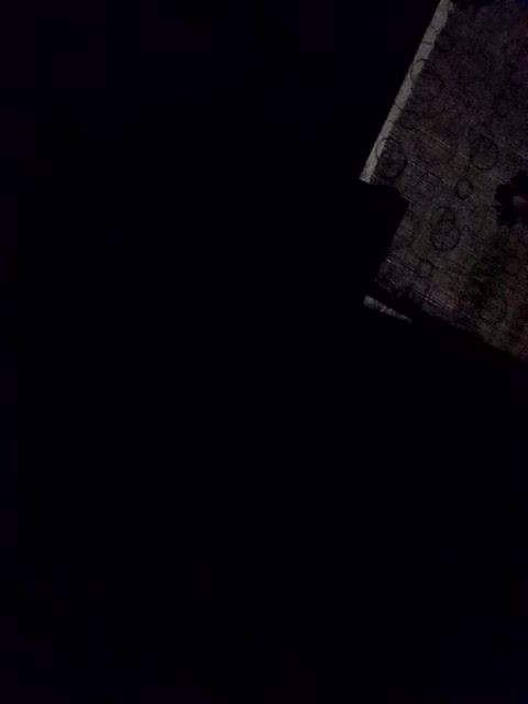 XsuVVa Cam Model Chat November 3, 2025