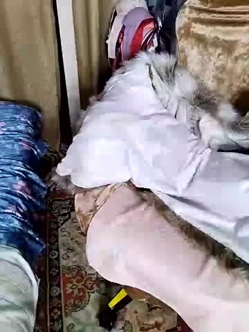 lindaledi2 Cam Model Chat November 3, 2025