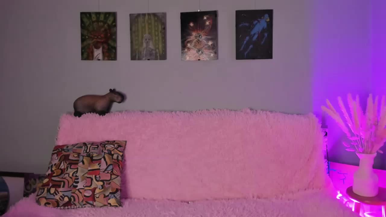 PeppeRage Cam Model Chat November 7, 2025