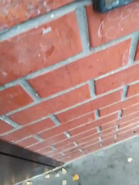 EVIL_TITS Cam Model Chat November 7, 2025