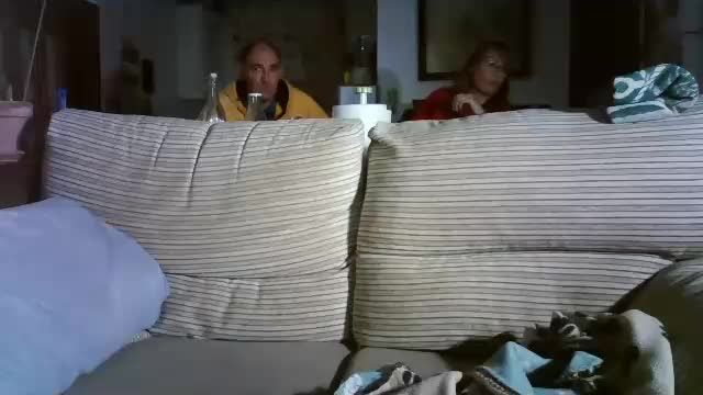 lolahueso Cam Model Chat November 7, 2025