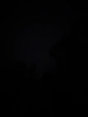 VibroMashulkaDashulka Cam Model Chat November 8, 2025