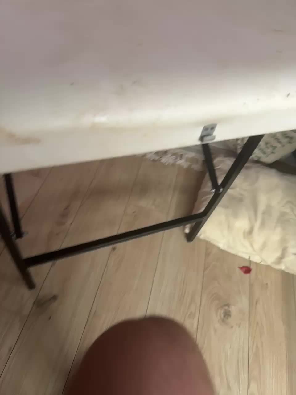 PornoRabbits Cam Model Chat November 8, 2025