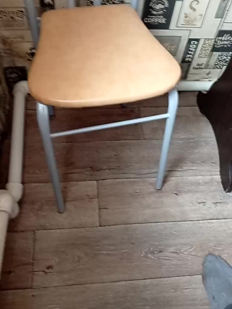 Yna-and-Yn Cam Model Chat November 8, 2025