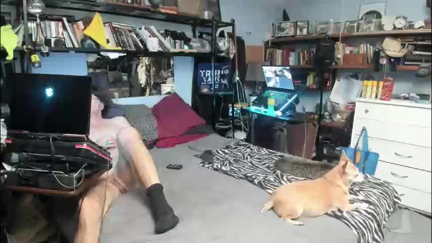 pink_black Cam Model Chat November 8, 2025