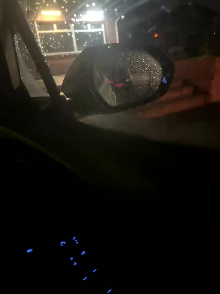 Friends-51 Cam Model Chat November 8, 2025