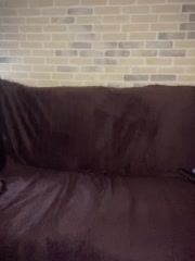 Panther_0888 Cam Model Chat November 8, 2025