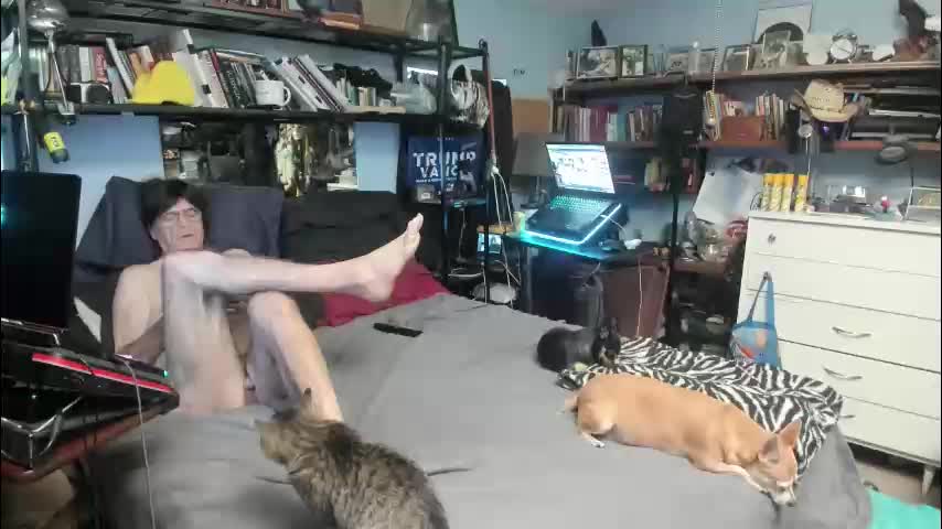 pink_black Cam Model Chat November 8, 2025